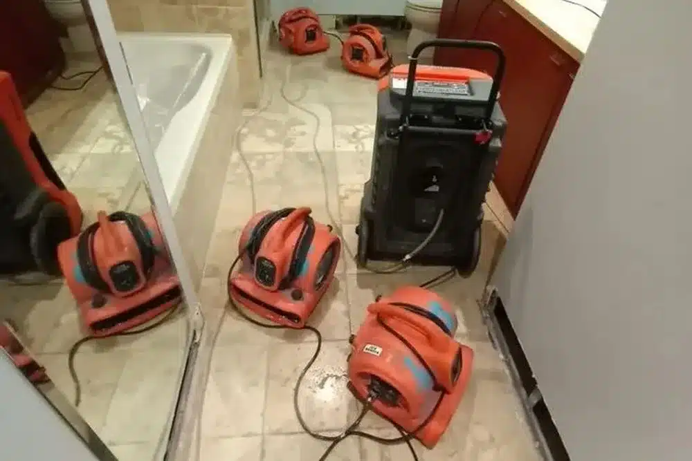 Learn about this success story