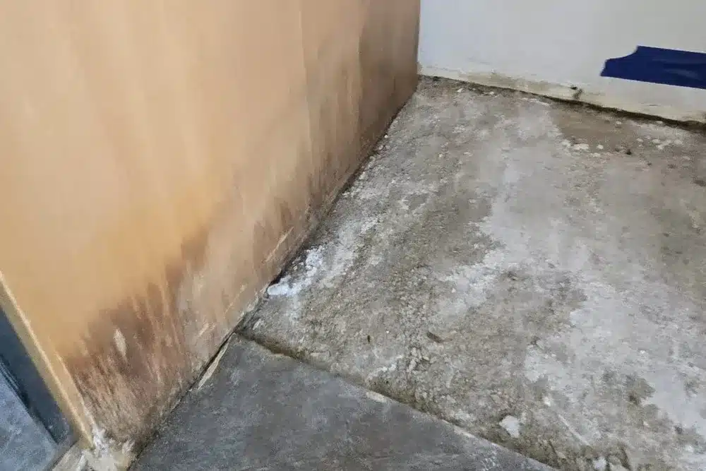 Learn about this success story