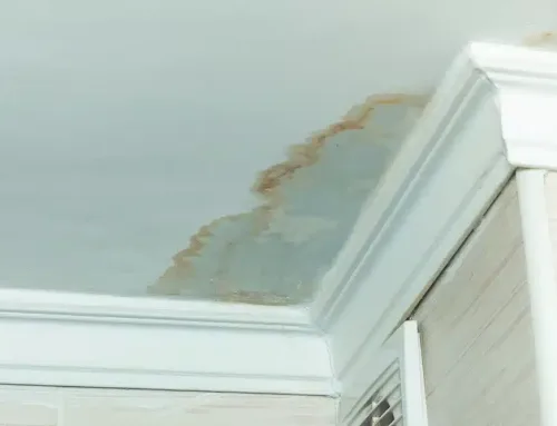 Water Damage Horror Stories That Could Happen to Anyone