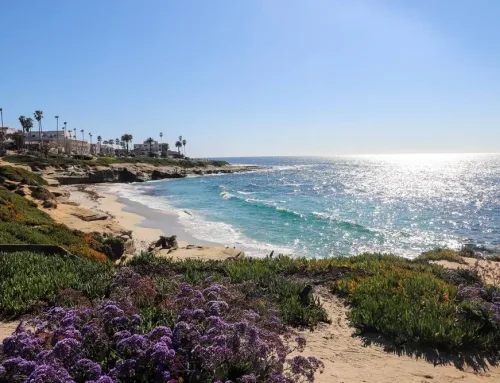 Water Damage Restoration in La Jolla, CA