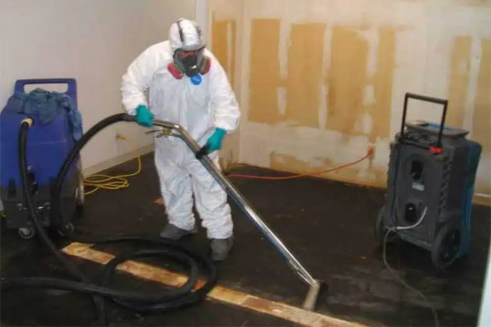 Learn about this success story