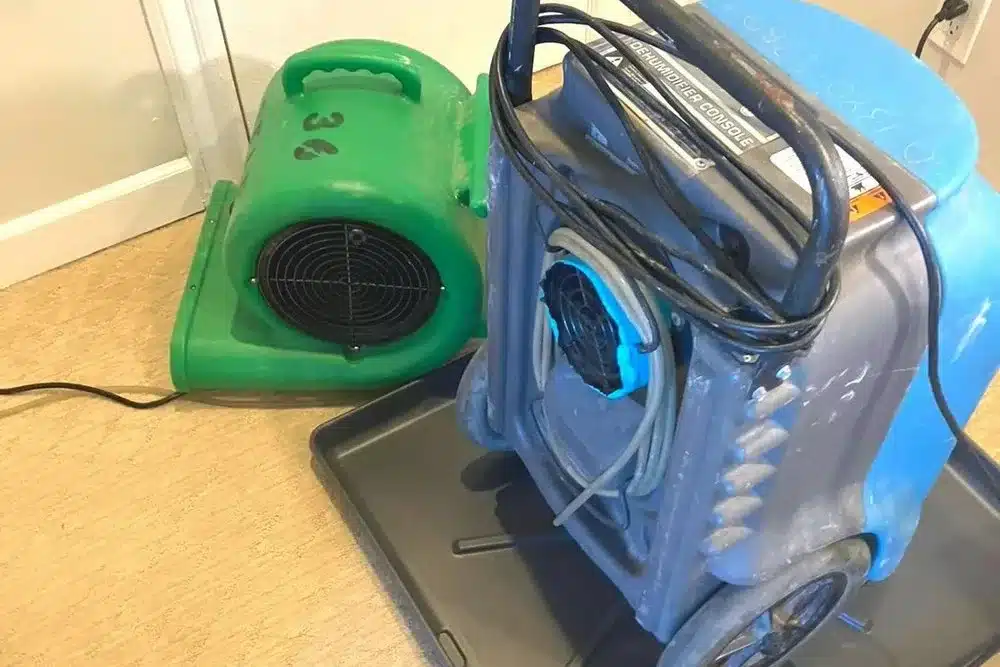 Learn about this success story