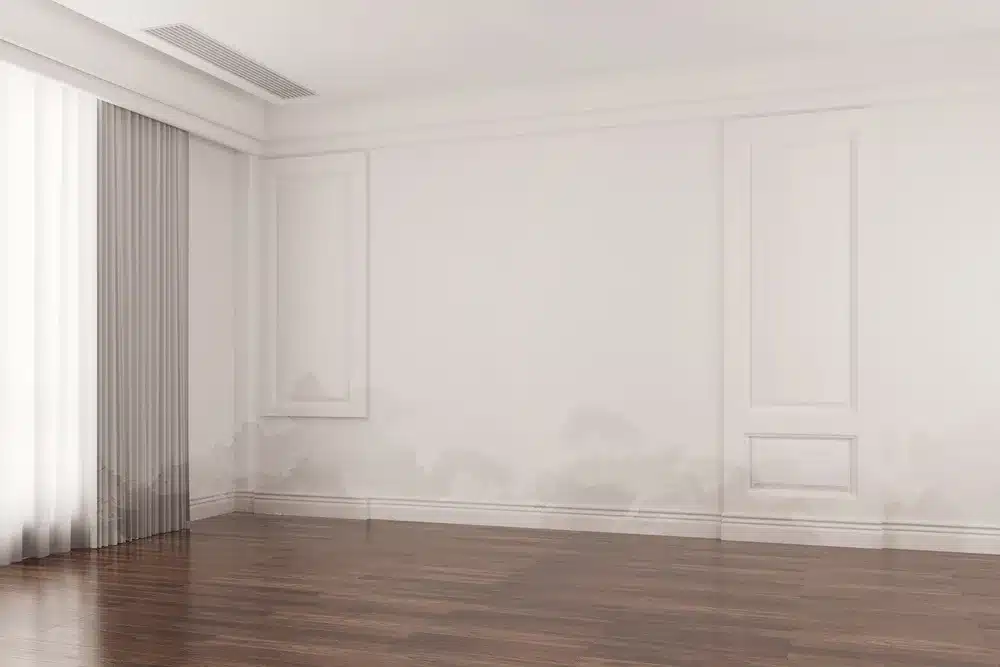 Learn about this success story