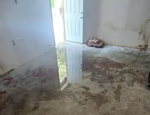 Why DIY Water Damage Cleanup Could Cost You More Than You Think