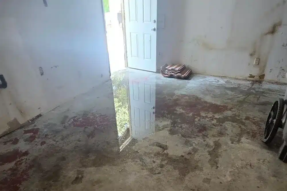 Learn about this success story