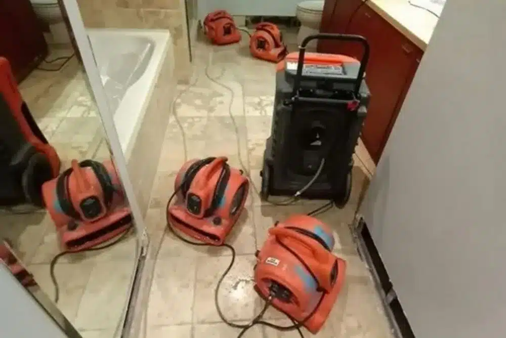 Learn about this success story