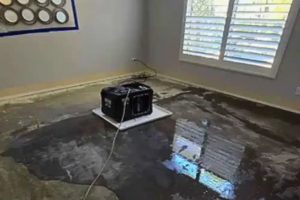 Learn about this success story