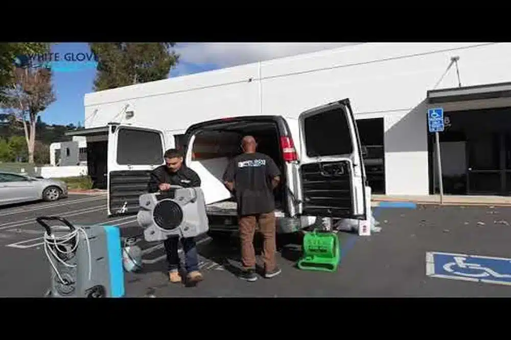 Learn about this success story