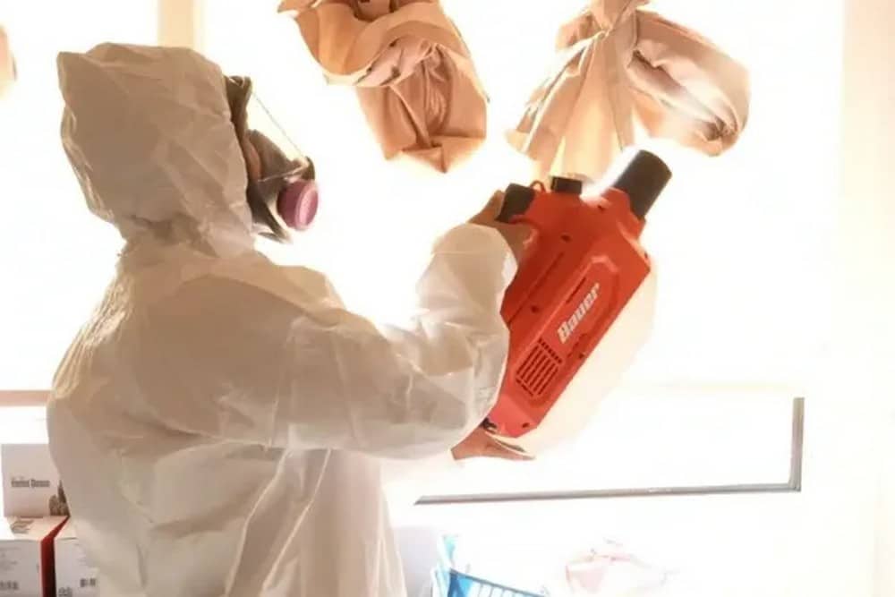 Learn about this success story