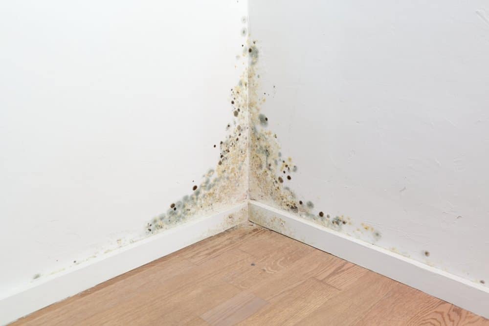 Signs Water From a Burst Pipe Has Spread Behind Walls and Under Floors