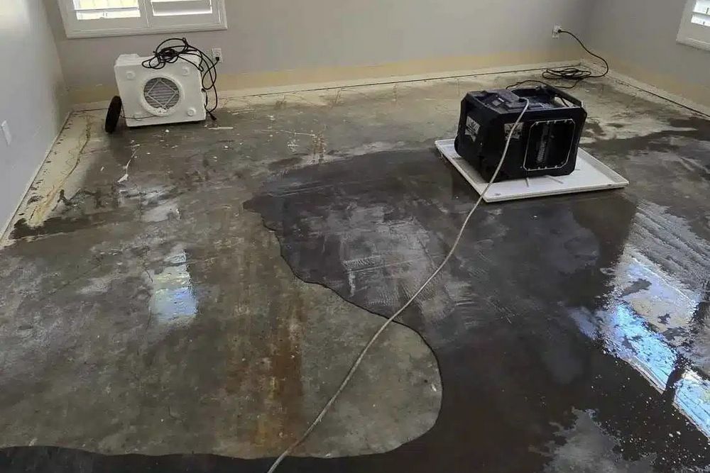 Understanding the Water Damage Restoration Process From Start to Finish