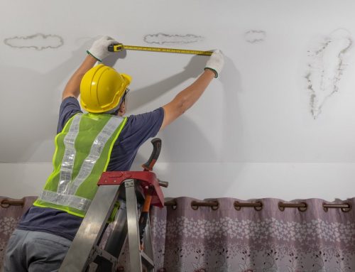 What Causes Mold Growth in the Attic and How to Stop It