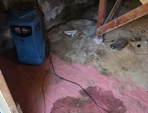 When to Schedule Crawl Space Mold Removal for Your Property
