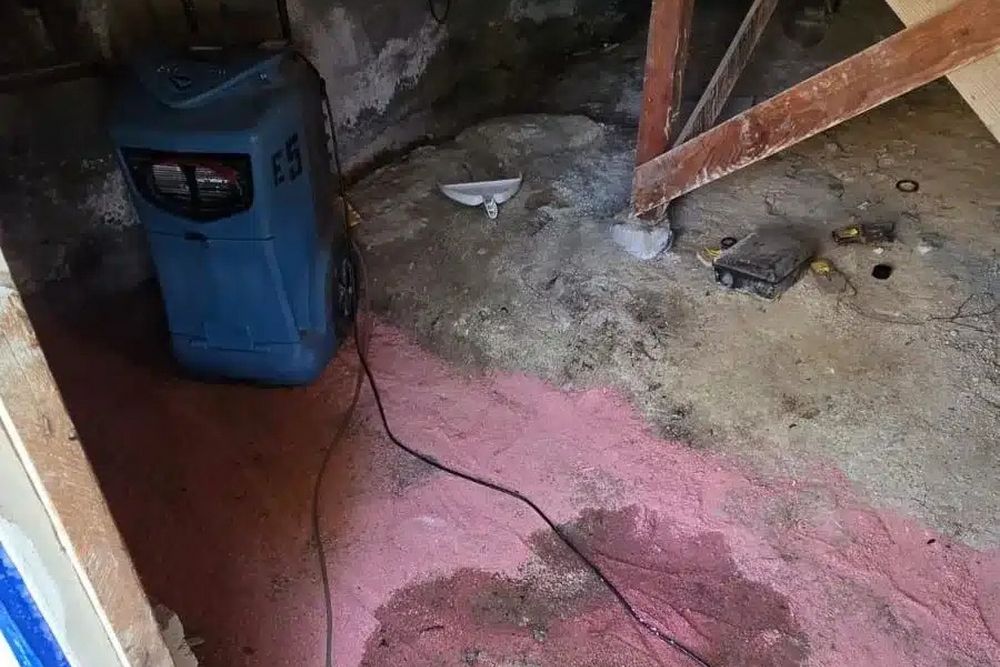 Learn about this success story