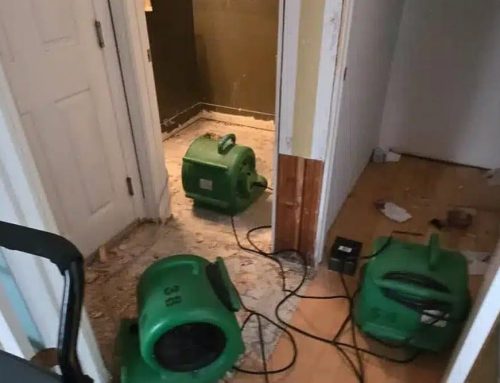 Why Moisture Mapping Helps Find Water Damage Under Floors and Behind Cabinets