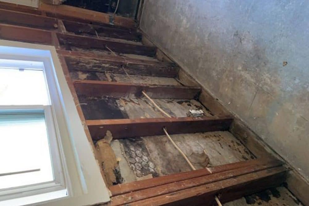 Attic Mold Remediation Services That Improve Air Quality and Home Safety