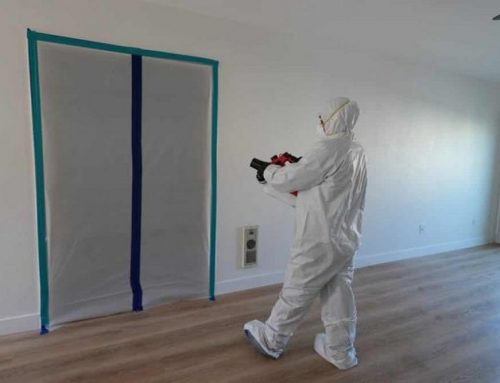 Signs Your Attic Needs Mold Remediation Before the Problem Spreads