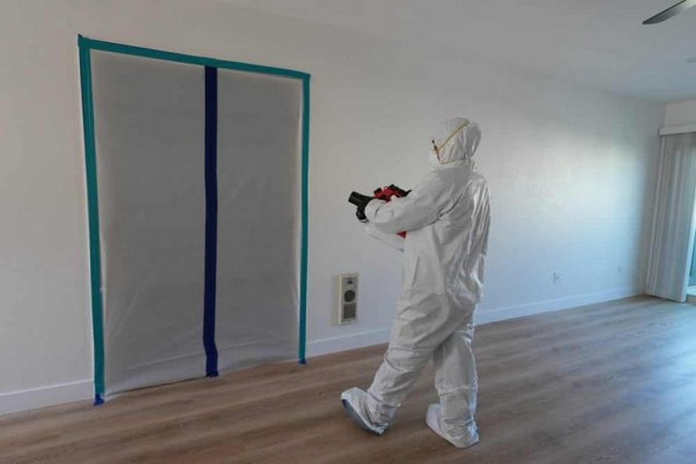 Signs Your Attic Needs Mold Remediation Before the Problem Spreads