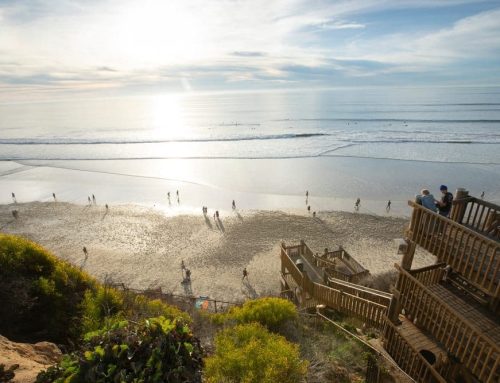 Attic Mold Remediation in Encinitas, CA