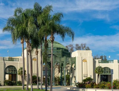 Attic Mold Remediation for Homes in Escondido