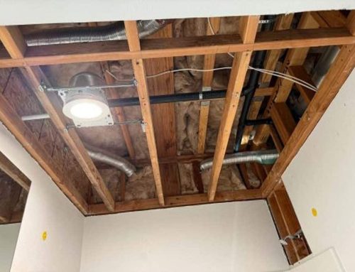 Why Attic Mold Remediation Protects Your Home From Hidden Structural Damage
