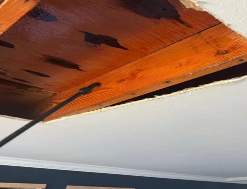 Attic Mold Remediation After Roof Leaks and Water Intrusion