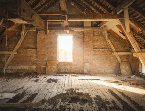Common Causes of Attic Mold That Require Professional Remediation