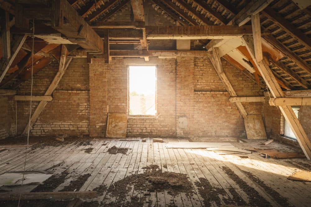 Common Causes of Attic Mold That Require Professional Remediation