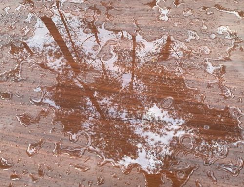 How Long Can Water Sit Before Serious Damage Occurs?