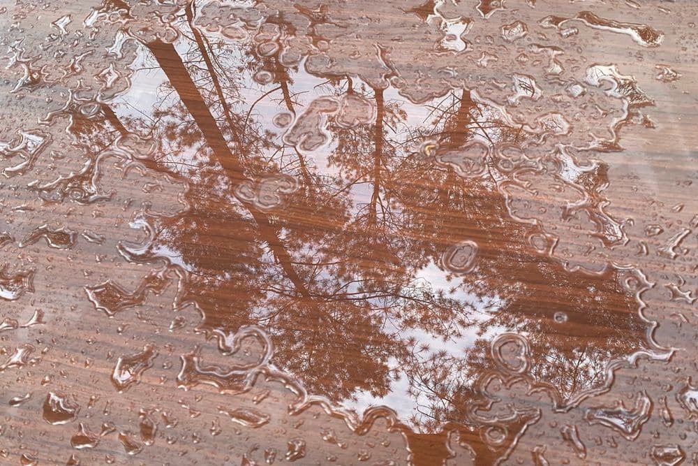 How Long Can Water Sit Before Serious Damage Occurs?