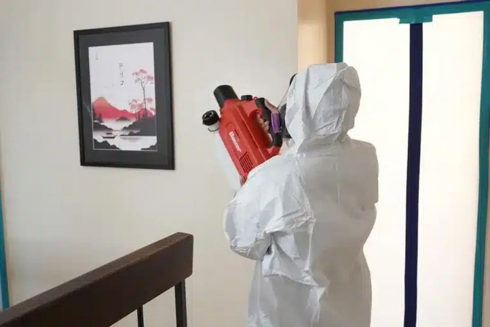 Medical Mold Remediation Services and Their Role in Maintaining a Healthier Home Environment