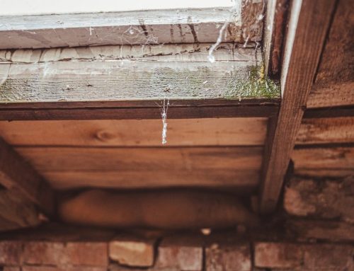 The Impact of Attic Mold on Insulation and Energy Efficiency