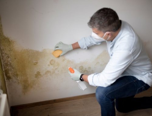 What To Do Immediately After Water Damage in San Diego