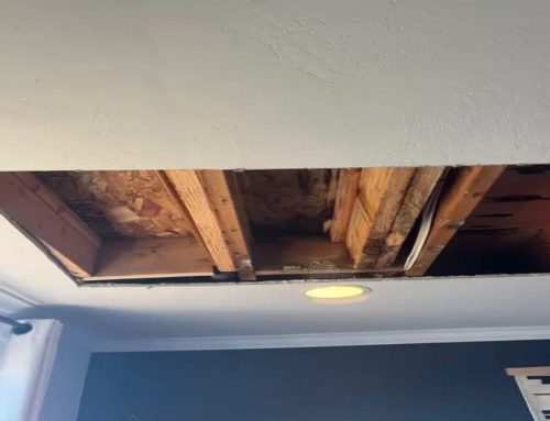 When Attic Mold Remediation Becomes Necessary After Poor Ventilation Issues