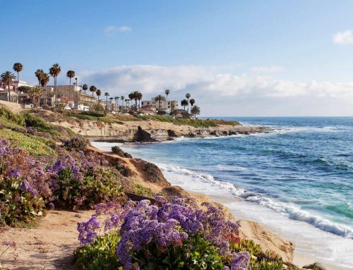 Emergency Water Removal in La Jolla, CA