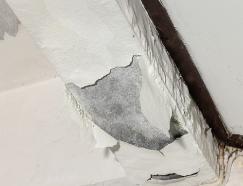 Does Insurance Cover Slab Leaks?