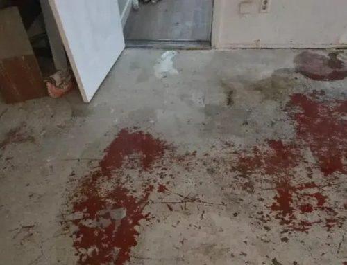 Is Water Damage Covered by Homeowners Insurance in California?