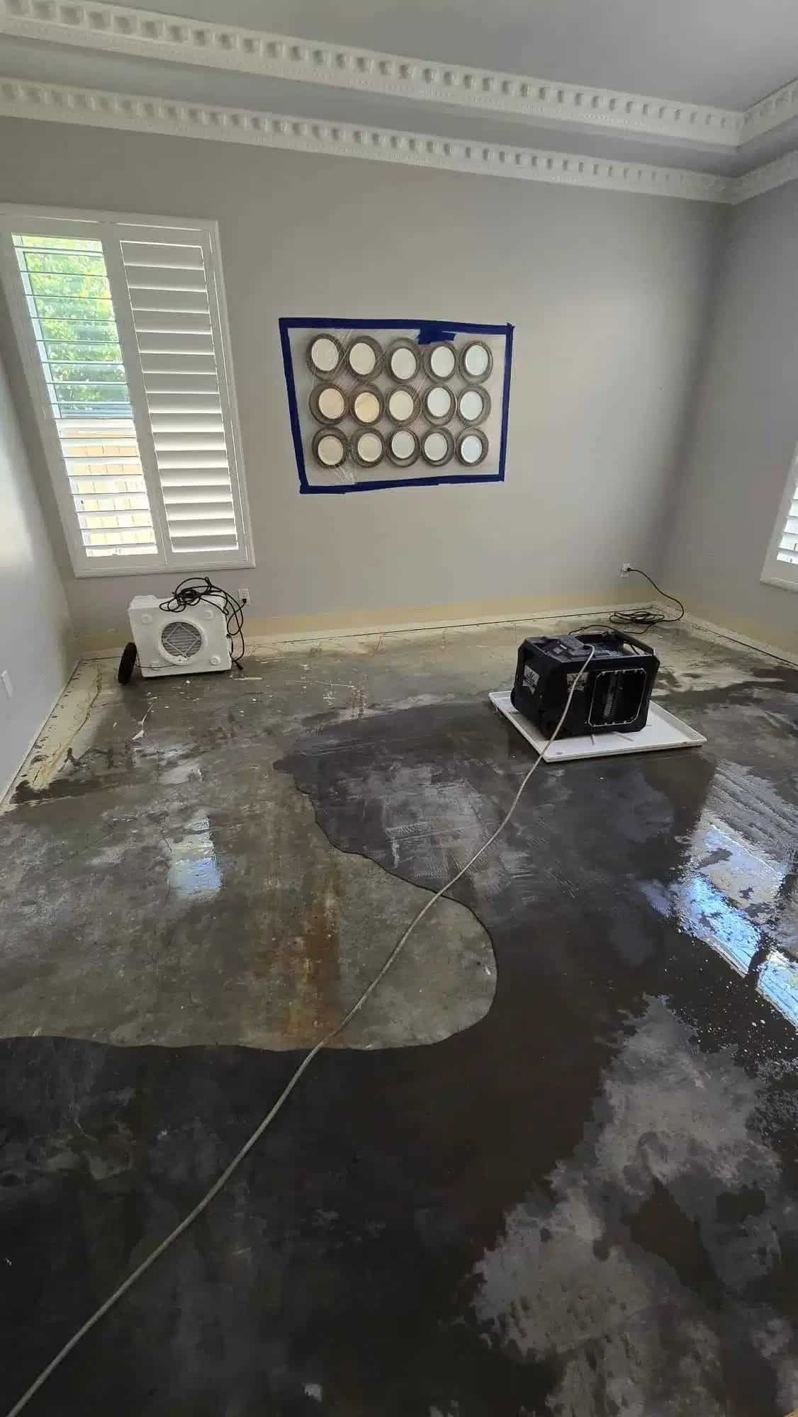 Water Extraction Services in Solana Beach, CA2