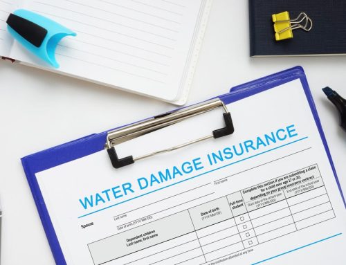 What Insurance Companies Look for During Water Damage Claims