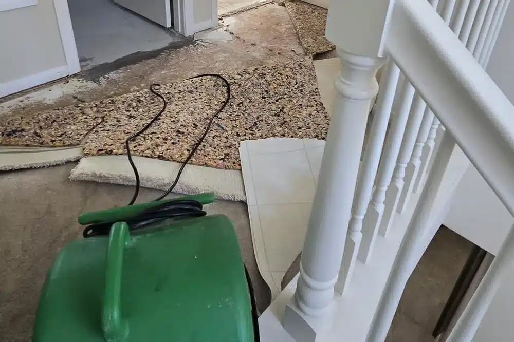 Water Damage Restoration Services in Rancho Bernardo, CA1