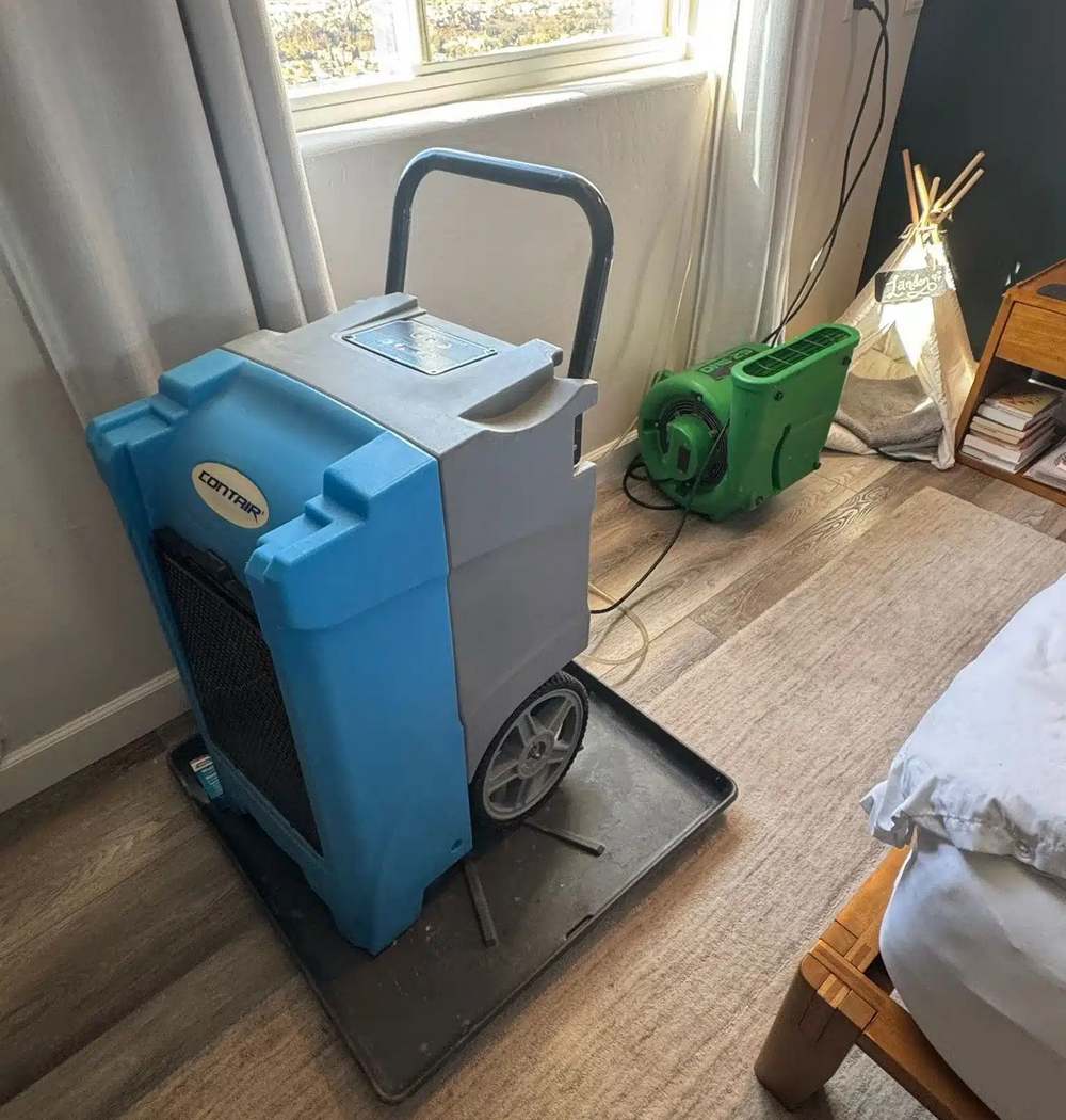 Water Damage Restoration in El Cajon, CA1