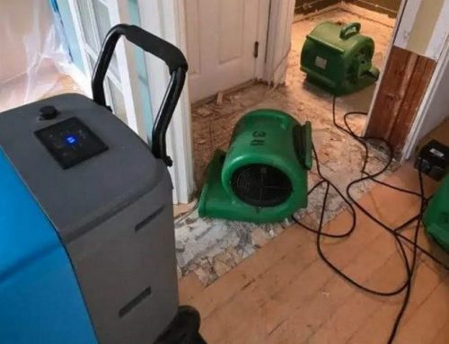 Can Water-Damaged Hardwood Floors Be Saved?