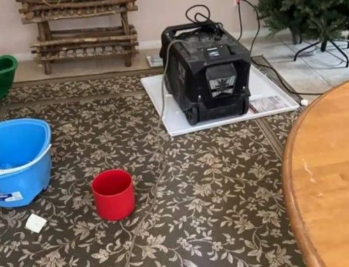 Early Water Damage Detection Helps Reduce Restoration Costs