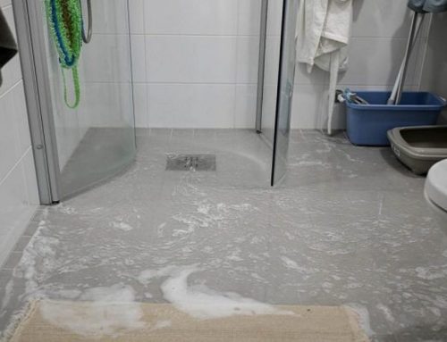 Emergency Water Removal Services Near San Diego