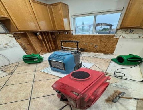 When Water Extraction Services Prevent Major Property Damage
