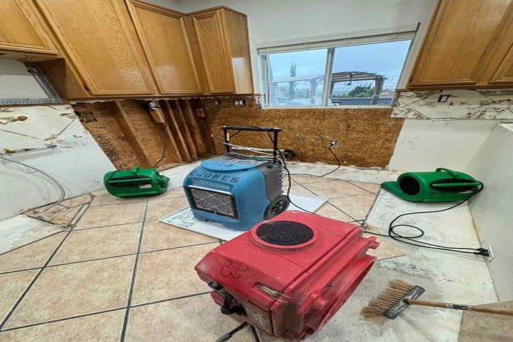 When Water Extraction Services Prevent Major Property Damage