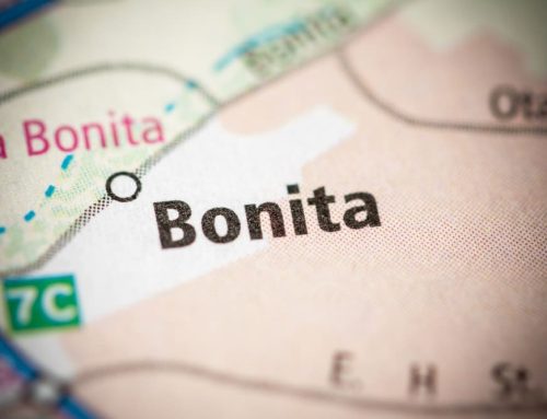 Flood Cleanup Services in Bonita, CA