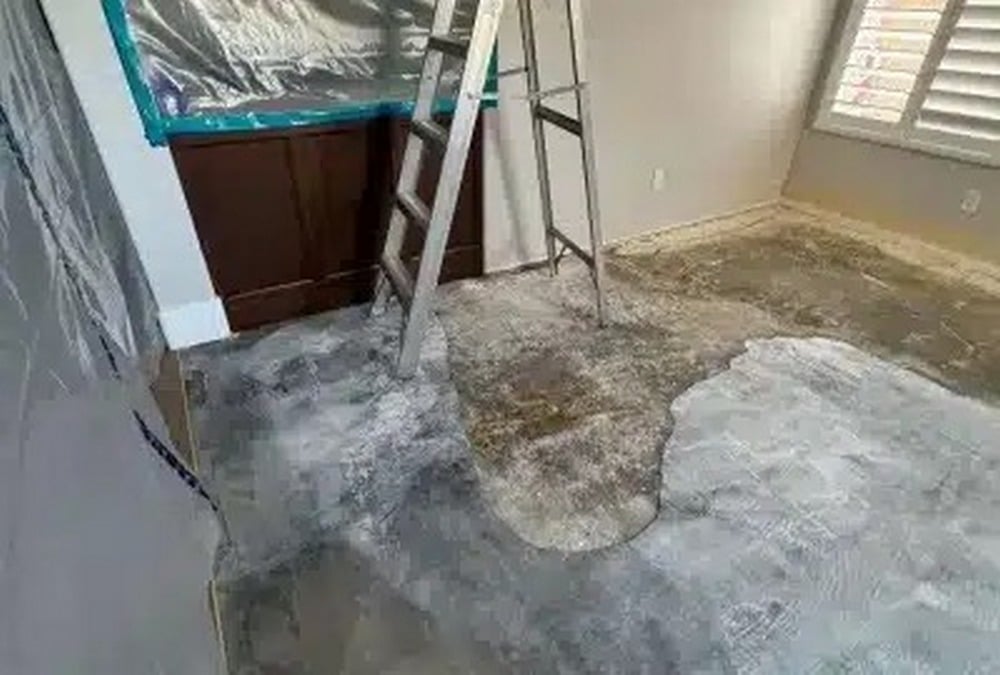 Water Cleanup Services in Mira Mesa, CA