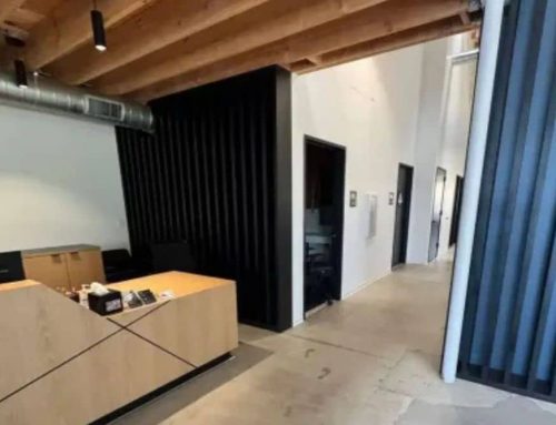 Commercial Mold Remediation for San Diego Businesses