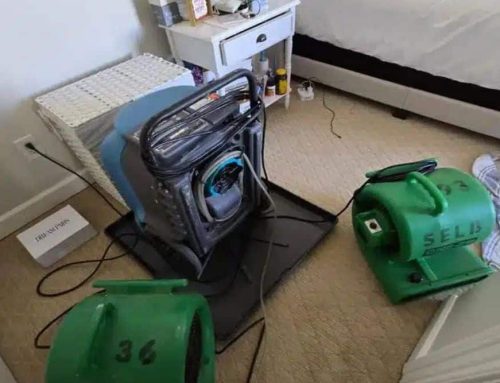 Professional Water Extraction vs DIY Cleanup